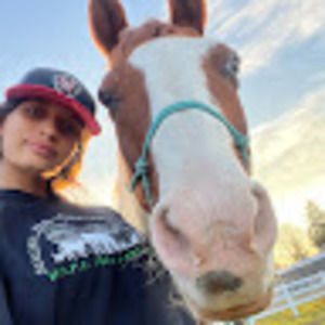 Meet your Posher, Sofiana